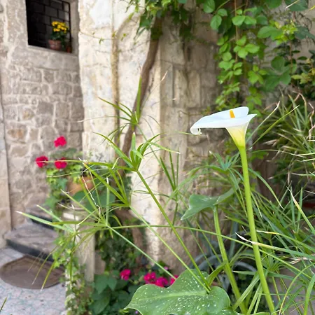 فندق مبيت وإفطار I Tetti Di Siciliando
